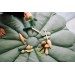 Round baby play mat