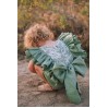 Sage green cake smash outfit girl